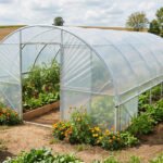 Choisir sa serre tunnel : critères et budget 2026